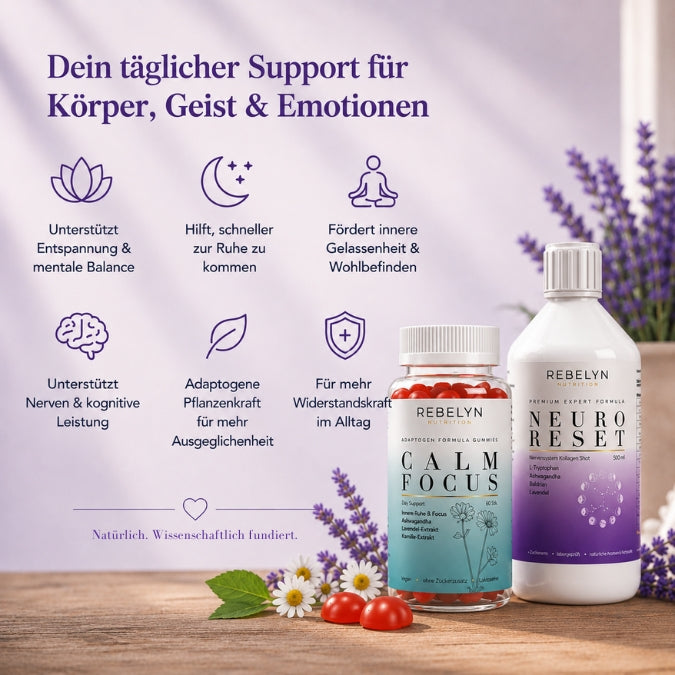 Calm System - Day & Night Bundle